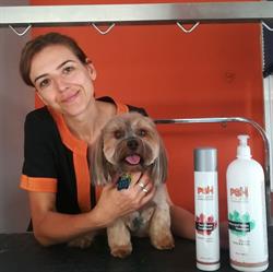 Horario de apertura Guay Dog Style, Estepona