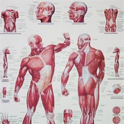 Horario de apertura Rehabilites, Valencia