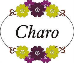 Horario de apertura Perfumería Charo, Grado