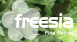 Horario de apertura Freesia Fina Guives, Girona
