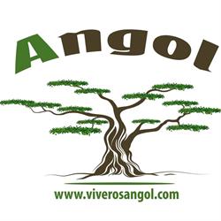 Horario de apertura Viveros El Angol C.b., Alcanar