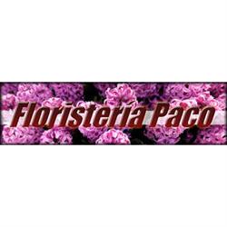 Horario de apertura Floristería Paco, De Monforte del Cid