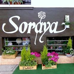 Horario de apertura Floristería Soraya, Veguellina de Órbigo