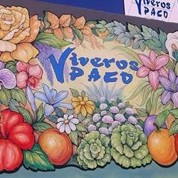 Horario de apertura Viveros Paco, La Orotava