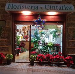 Horario de apertura Floristeria Cintaflor, Cádiz