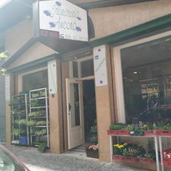 Floristería Ancora en Zaragoza (Torrero-La Paz) - Horario de apertura
