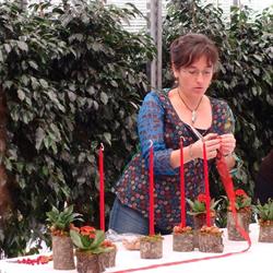 Horario de apertura Floristeria Muxutruk-Loredenda, Orio