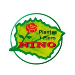 Horario de apertura Plantes i Flors Nino, Valls