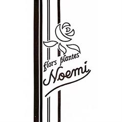 Horario de apertura Flors I Plantes Noemi, Cervera