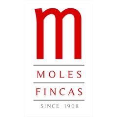 Finques Moles en Barcelona (Eixample) - Horario de apertura
