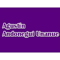 Horario de apertura Andonegui Unanue Agustín, Donostia-San Sebastián