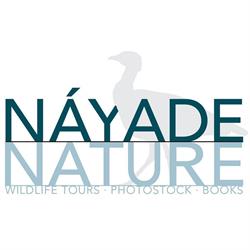 Horario de apertura Nayade S.l., Medina del Campo