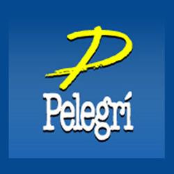 Horario de apertura Electricitat Industrial Pelegrí S.L., Torrefarrera