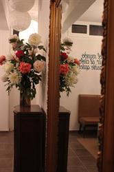 Horario de apertura Pension Rosa Mari, Puerto de la Cruz