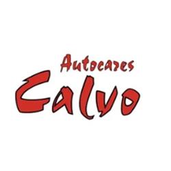 Horario de apertura Autocares Calvo - Tuccibus, Martos