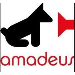 Horario de apertura Amadeus, Logroño