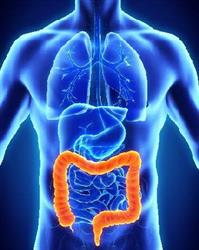 Horario de apertura Hidroterapia de colon Valencia- Amparo Lucas Alba Nutricionista Colegiada CV01717,