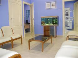 Horario de apertura Bucali Clinica Dental, Monesterio
