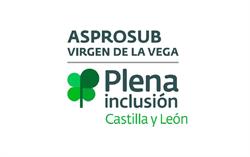 Horario de apertura ASPROSUB "Virgen de la Vega", Benavente