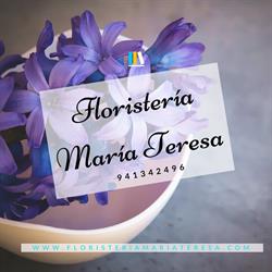 Horario de apertura Floristería María Teresa, Santo Domingo de la Calzada