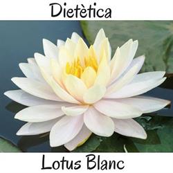 Horario de apertura Dietetica Lotus Blanc, Banyoles
