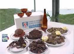 Horario de apertura Viveros de Mariscos Cetarea Depuradora de Cobas, Ferrol
