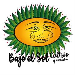 Horario de apertura Bajo El Sol, Zaragoza