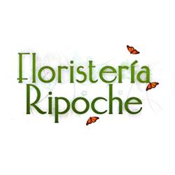Horario de apertura Floristería Ripoche, Las Palmas de Gran Canaria