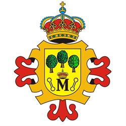 Horario de apertura Ayuntamiento de Manzanares, 