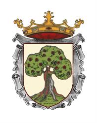 Horario de apertura Ayuntamiento de Larraga, 