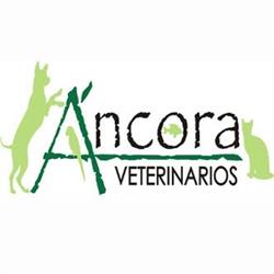 Ancora Veterinaros en Madrid (Arganzuela) - Horario de apertura