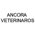 Ancora Veterinaros en Madrid (Arganzuela) - Horario de apertura