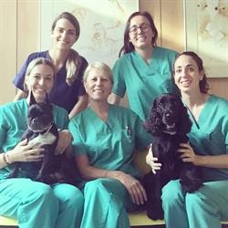 Horario de apertura Centro Veterinario Benicarló, 