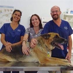 Horario de apertura Centro Veterinario Val de Iglesias, San Martín de Valdeiglesias