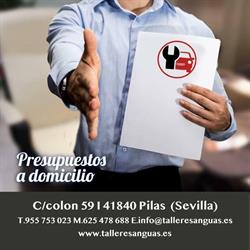 Horario de apertura Talleres Anguas, Pilas