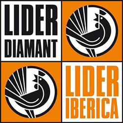 Lider Diamant S.L. en Gijón (Rural) - Horario de apertura