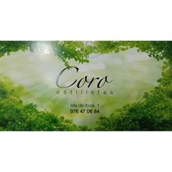 Horario de apertura CORO CLEMENTE PELUQUERIA Y ESTETICA, Zaragoza