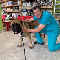 Centro Veterinario los Molinos en Los Molinos (Los Molinos) - Horario de apertura