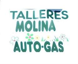 Talleres Molina C. B. en Badajoz (Badajoz) - Horario de apertura