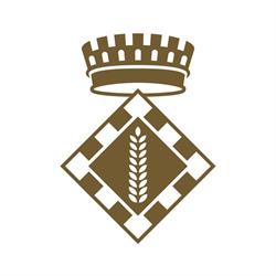 Consell Comarcal de la Segarra en Cervera (Cervera) - Horario de apertura
