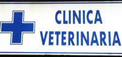 Horario de apertura Clinica Veterinaria Cruz Azul, Astillero