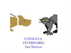 Horario de apertura Consulta Veterinaria San Marcos, Las Palmas de Gran Canaria