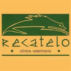 Horario de apertura Clinica Veterinaria Recatelo, Lugo