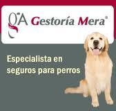 Horario de apertura Gestoria Mera Rancaño, Agencia de Seguros Vinculada, S.l.n.e., A Cañiza