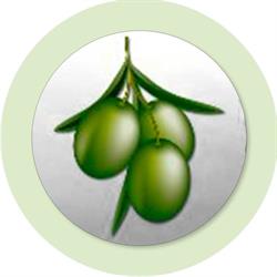 Horario de apertura Cooperativa Agricola Ayorense, Ayora