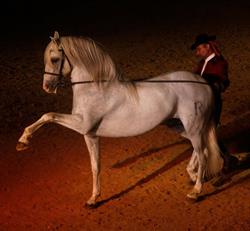 Horario de apertura Peralta-Rancho El Rocio, La Puebla del Río