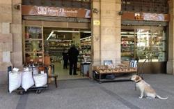 Jaime J. Renobell en Barcelona (Ciutat Vella) - Horario de apertura