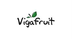 Horario de apertura Fruites Germans Vigafruit, Girona