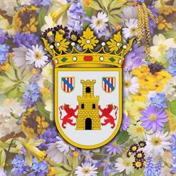 Horario de apertura Ayuntamiento de Aroche, 
