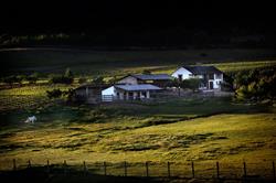 Horario de apertura Bodegas y Viñedos Luna Beberide, S.l., Cacabelos
